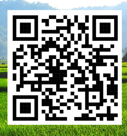 screenshot 2026 06 01 122604